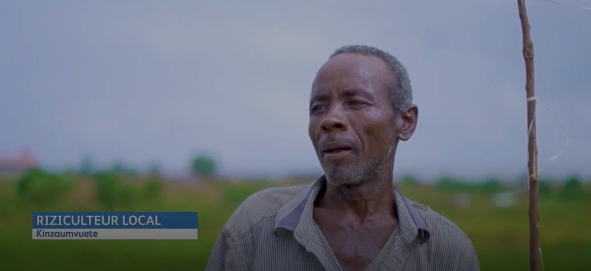 Fondation Bralima (projet riz)