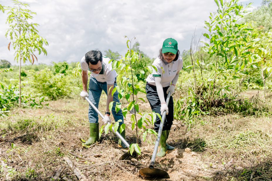 Sustainability 